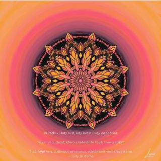🍃 Mandala dne: Síla přírody 🍃 Příroda ví, kdy růst, kdy kvést i kdy odpočívat. Je v ní moudrost, kterou naše duše touží...
